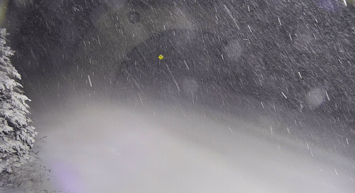 Blowing snow along Highway 10 through Riding Mountain National Park.