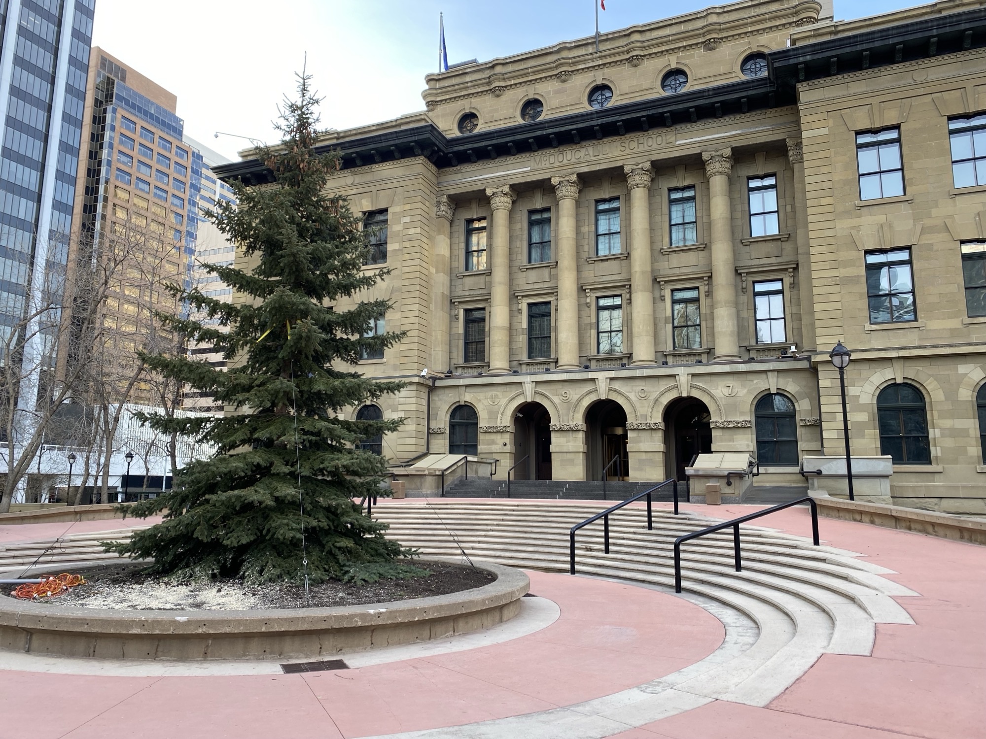 Family spruce to be this years McDougall Centre Christmas tree