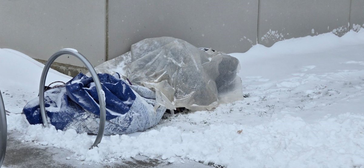 Melissa David pulled up to find Oleta Downey and her dog Mayhem trying to stay warm under a tarp on Monday.