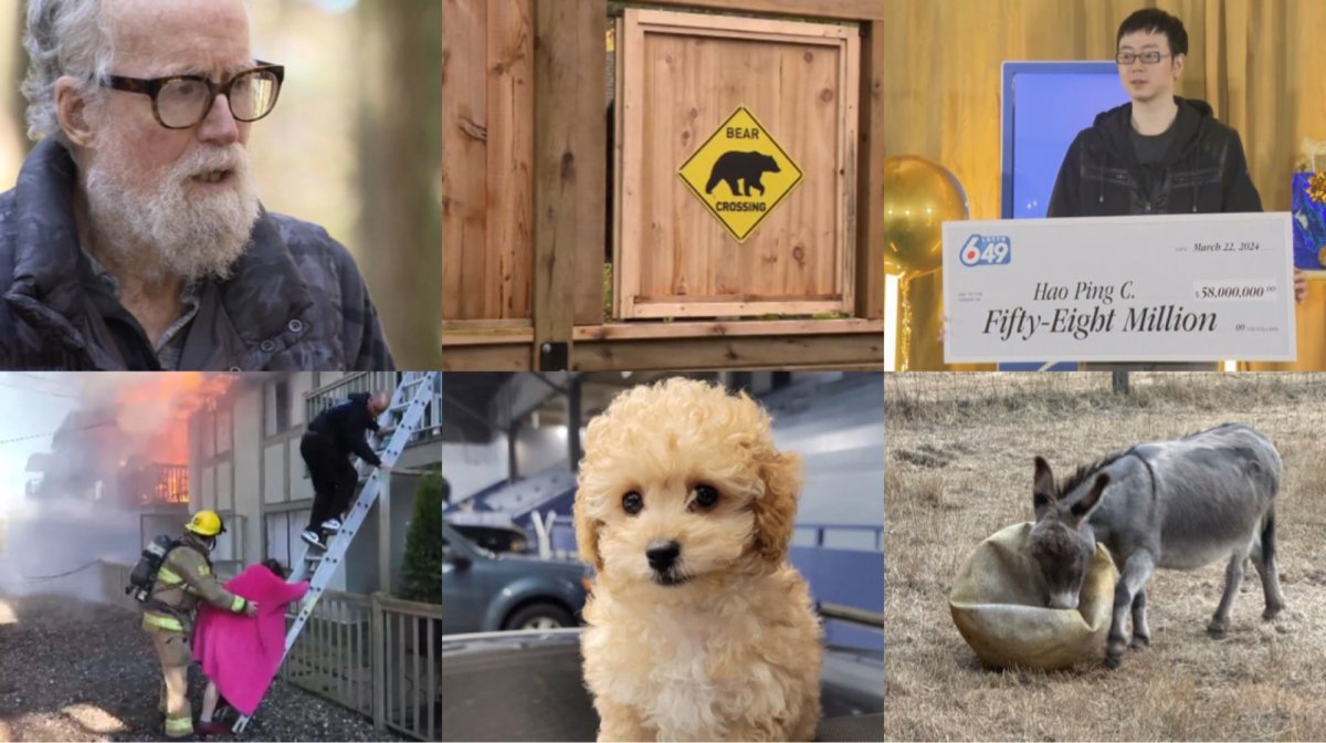 From a super-sized bear doggy door to a lonely donkey and a multi-millions jackpot winner, here were the top Global BC YouTube videos and YouTube Shorts of 2024. 