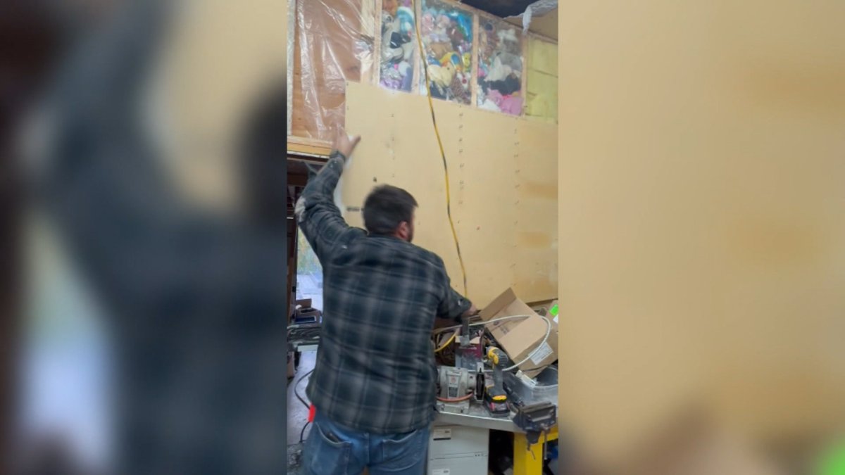 Brianne Hinkkuri and Connor Nijsse found dozens of stuffed animals packed into their walls and being used in lieu of insulation.