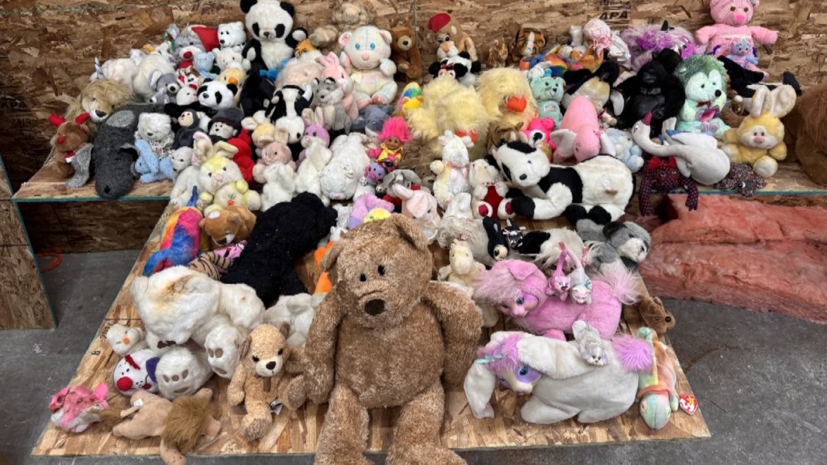 Brianne Hinkkuri and Connor Nijsse found dozens of stuffed animals packed into their walls and being used in lieu of insulation.