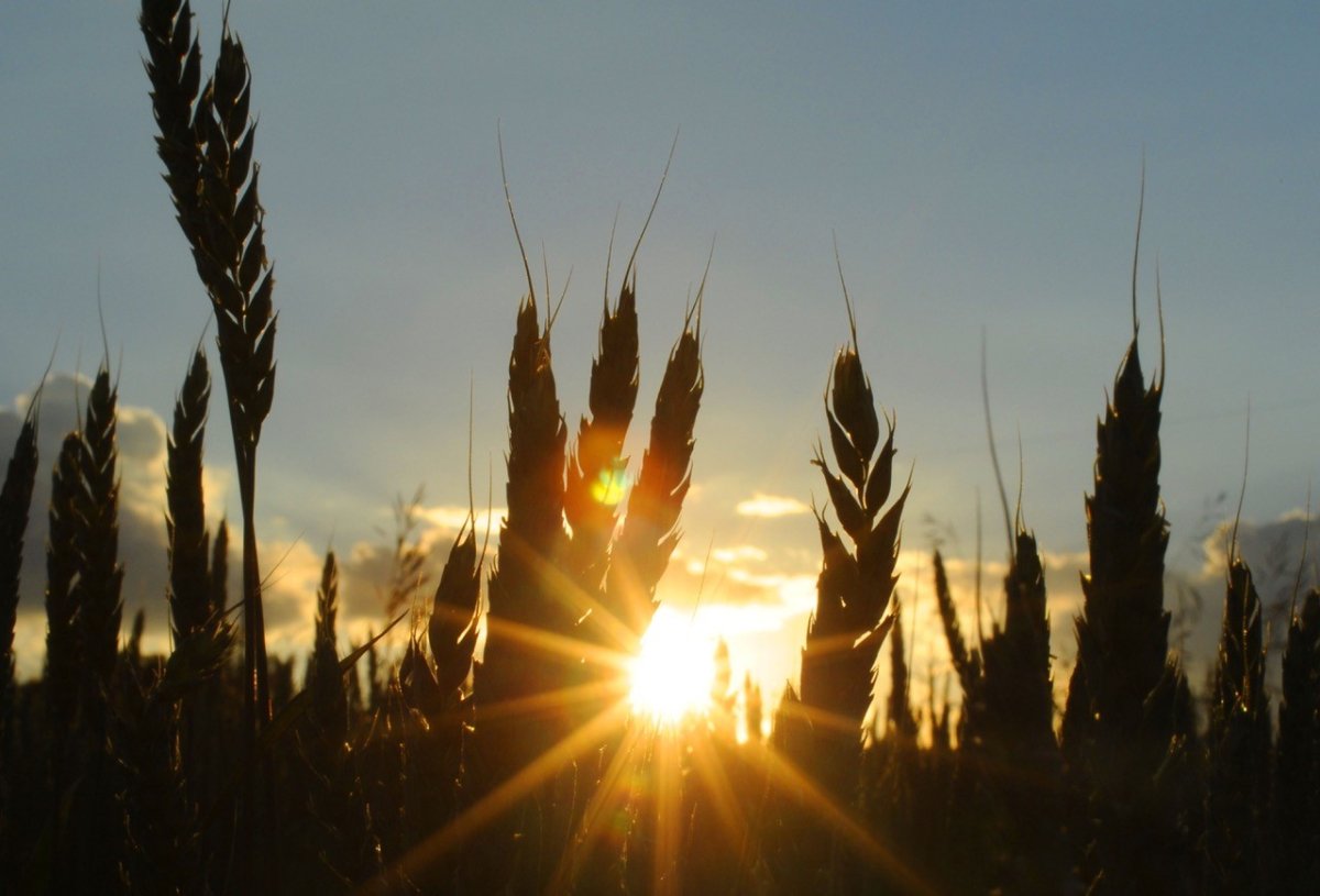 The Your Saskatchewan photo of the day for November 3 was taken by John Perret in Saskatoon.