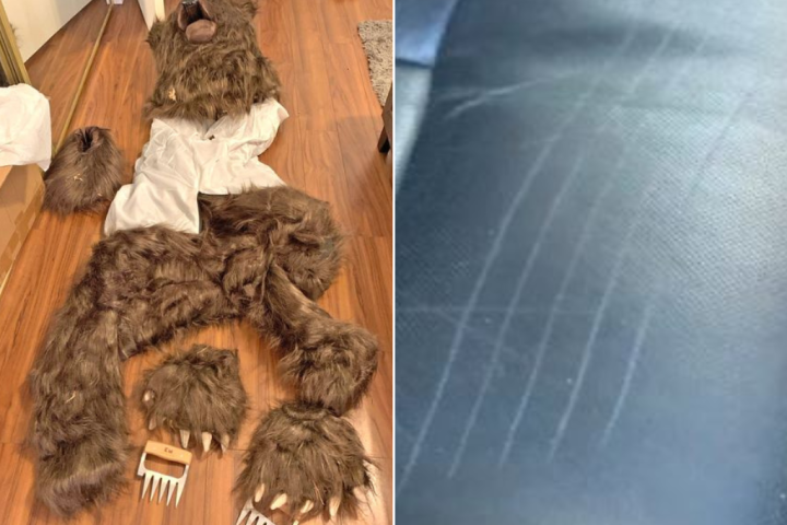 Call the fuzz: 4 charged in alleged ‘human in a bear suit’ insurance scam