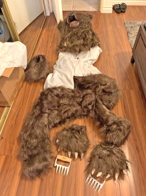 A photo of the bear costume seized from one of the men's homes.