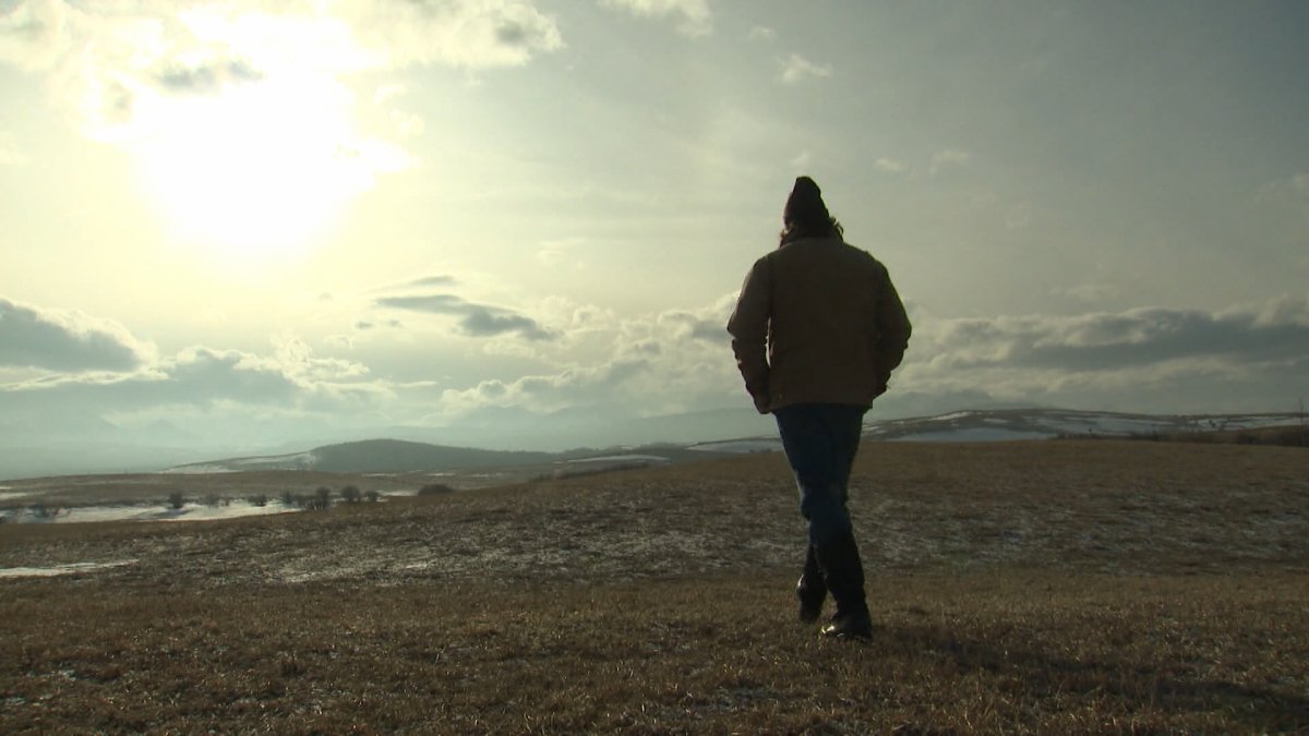 Opponents of coal mining say the potential ecological impacts of coal mining on the Crowsnest and Oldman river watersheds need to be considered, including agriculture production, wildlife preservation and quality and cleanliness of drinking water.