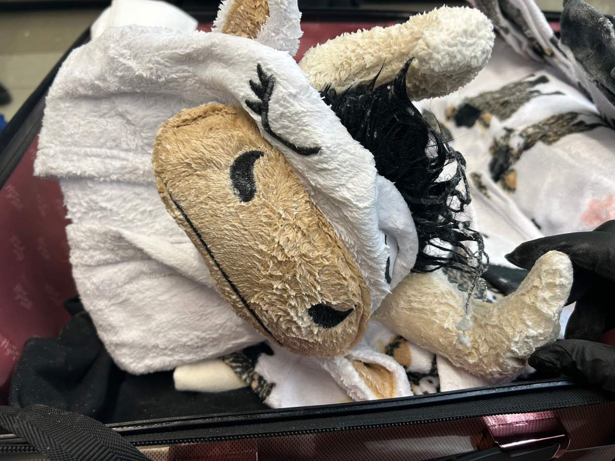 Among the items seized was a flannel cow onesie.