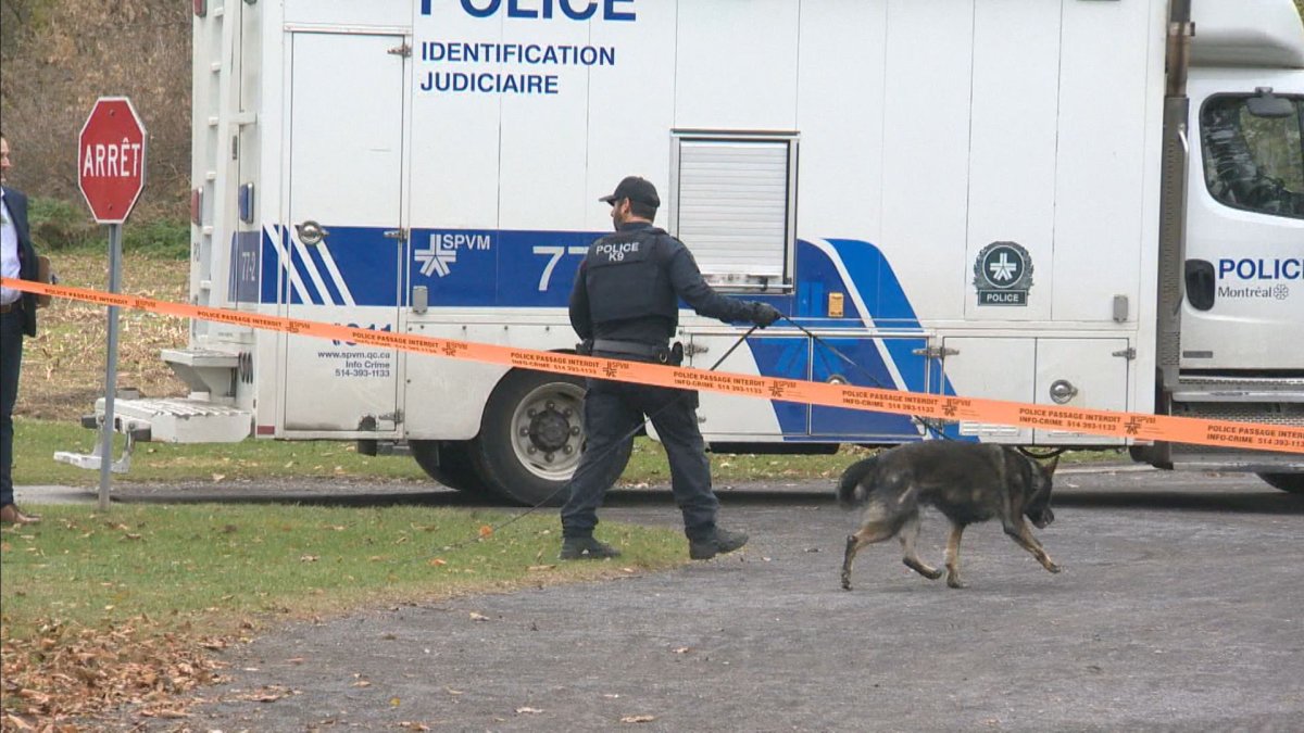 Montreal police discovered a body in a nature park on Oct. 30, 2024. Authorities later confirmed the remains were those of Kevin Mirshahi.