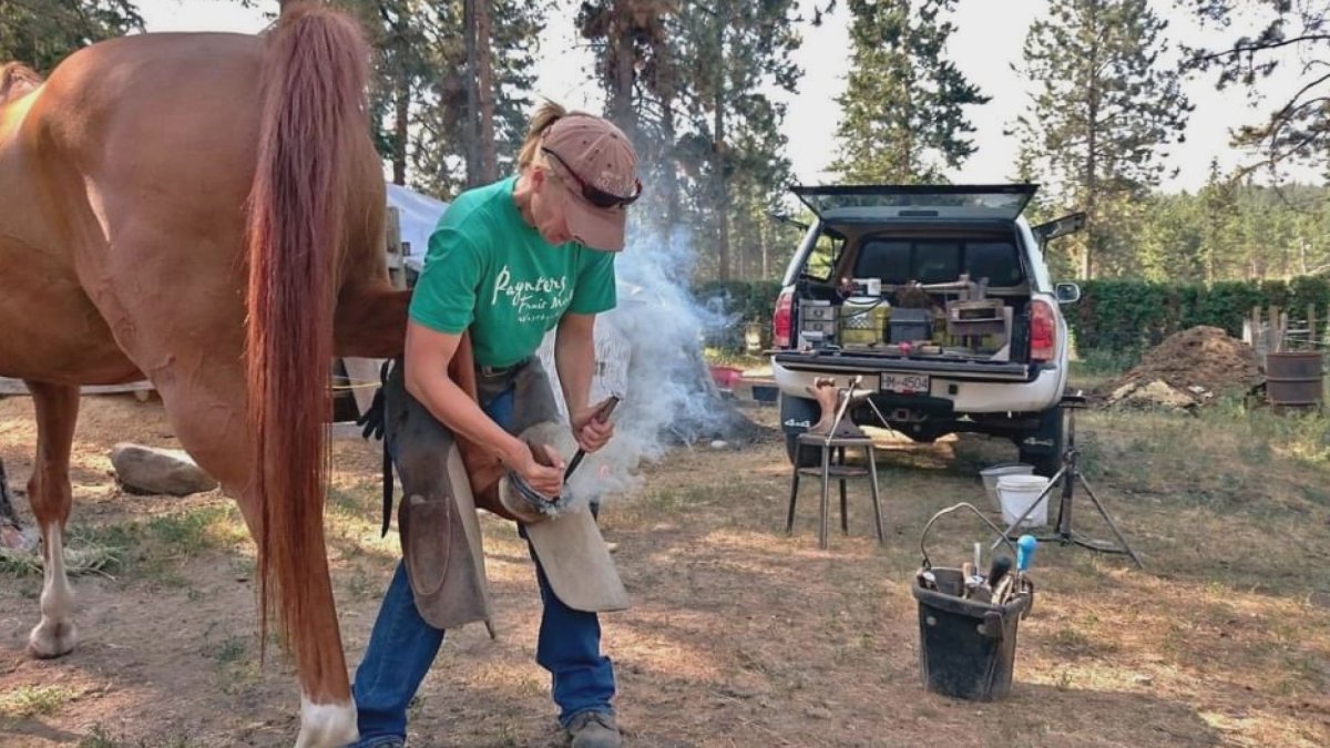 Tools allegedly stolen from Okanagan farrier.