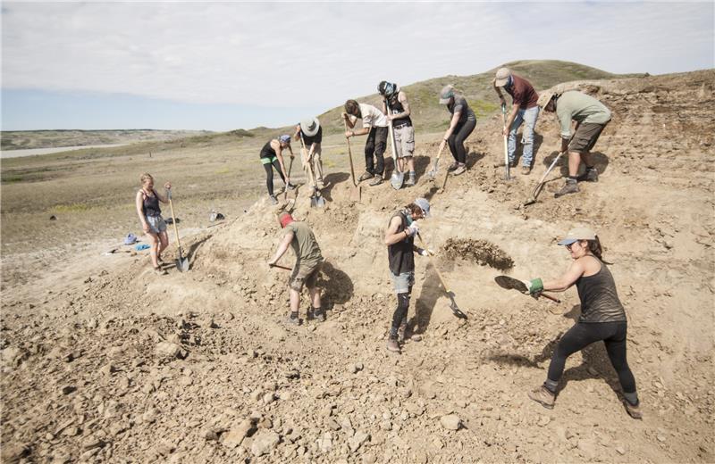 First-of-its-kind dinosaur fossil reveals look at Saskatchewan 75 million years ago