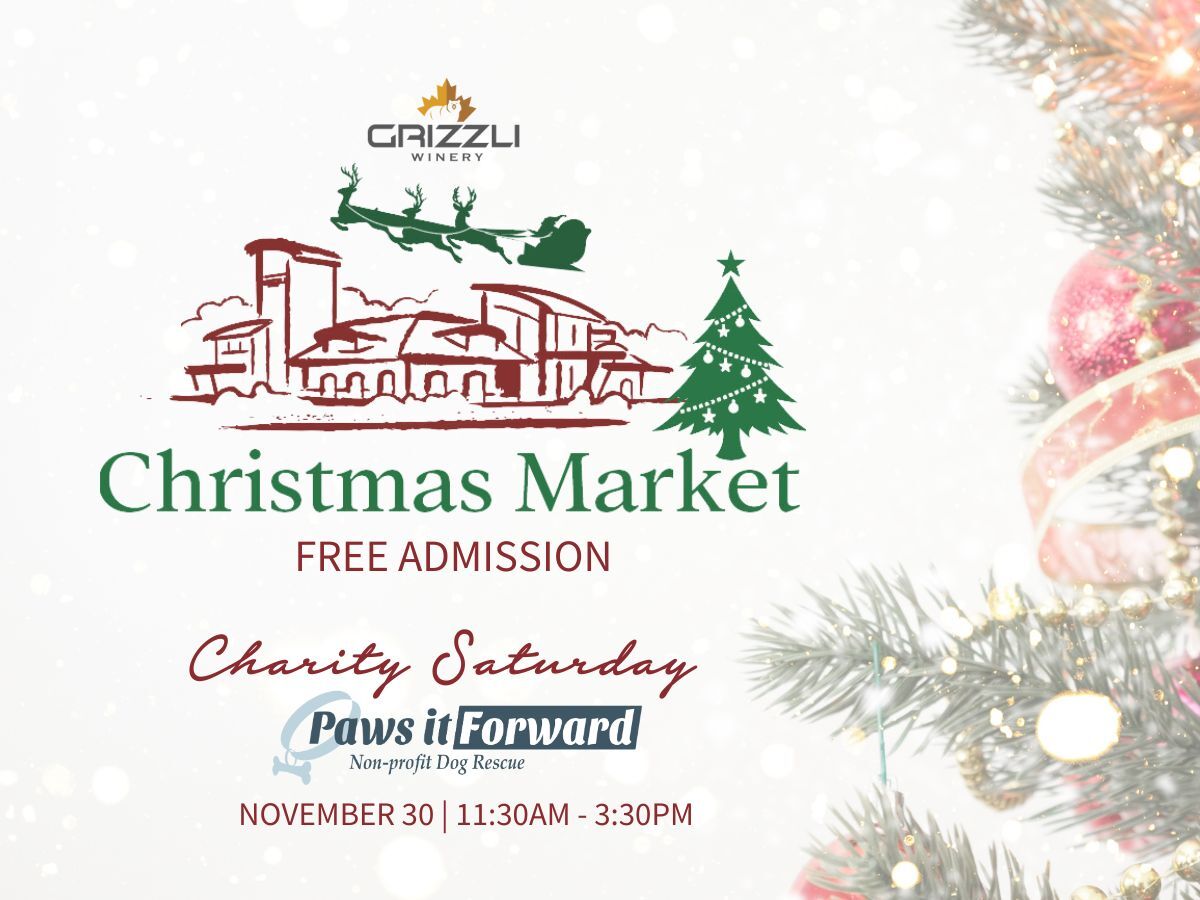 Festive Christmas Market and Charity Fundraiser for Paws It Forward - image