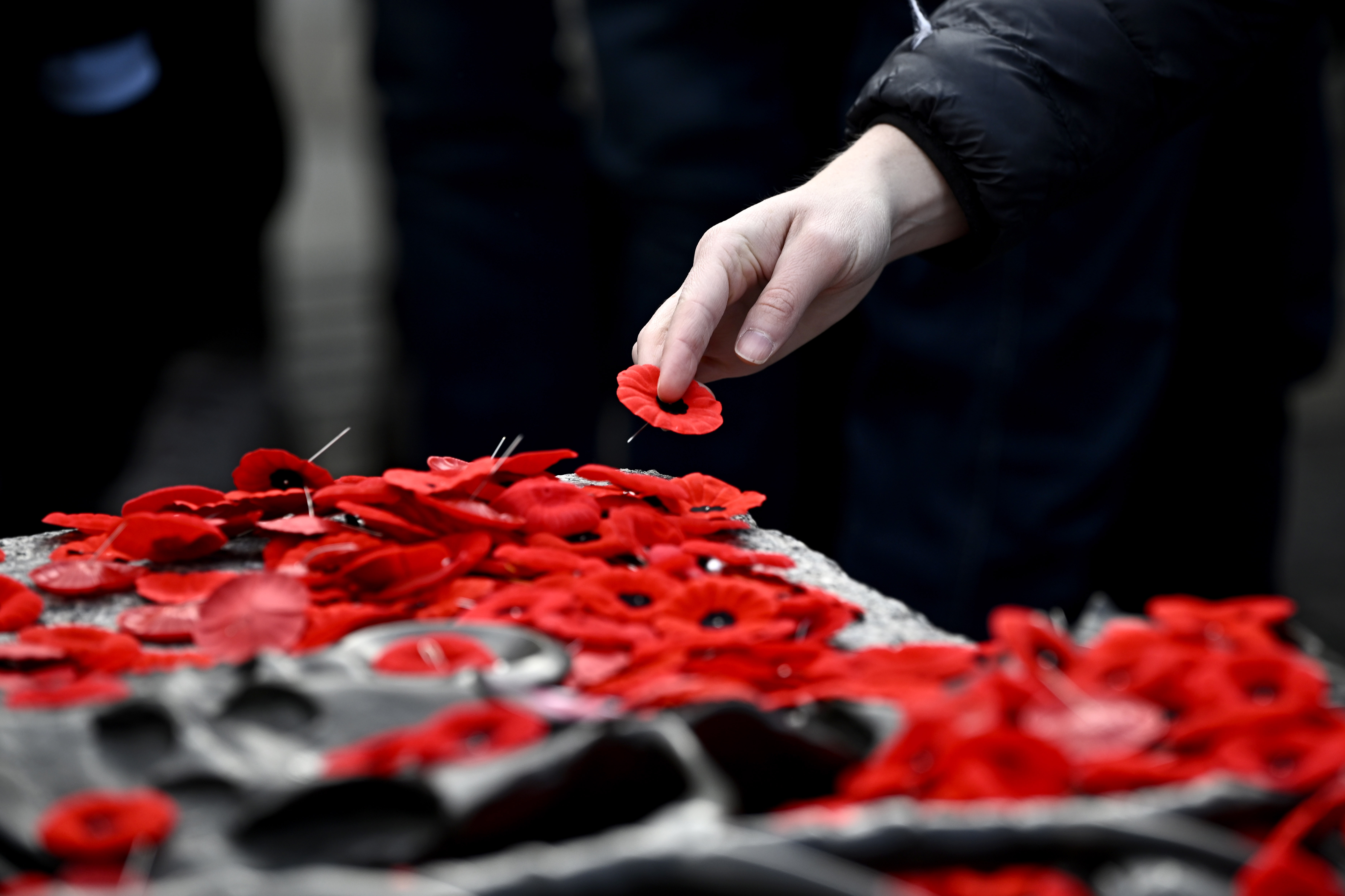 Remembrance Day: Canada to honour veterans’ ‘legacy of courage’