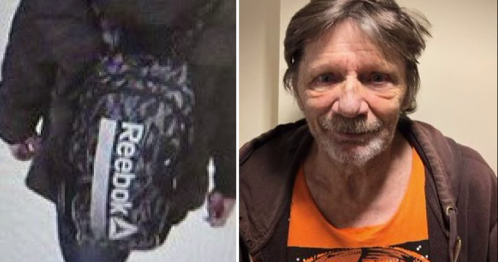 Crews scour Saanich for missing man with dementia - BC |