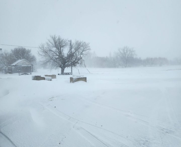 Snow wallops western Manitoba, but Winnipeg remains wet - Winnipeg ...