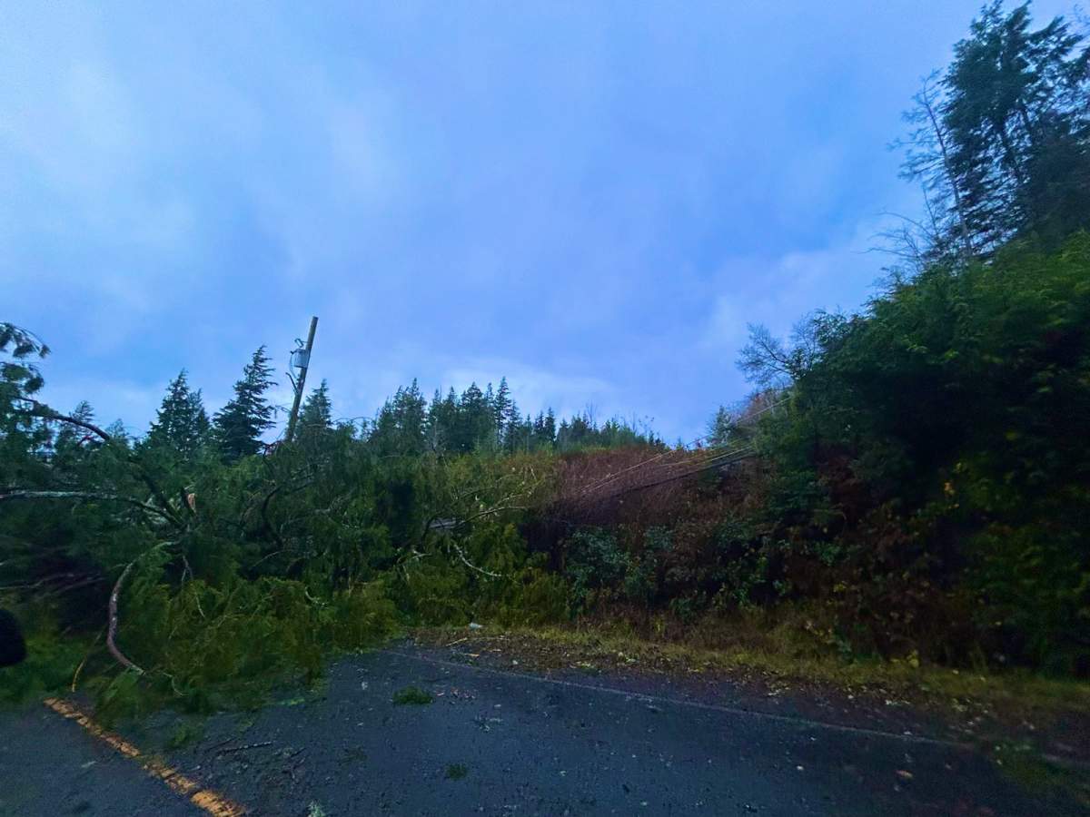 Clean-up underway in Tofino following winds from the bomb cyclone.