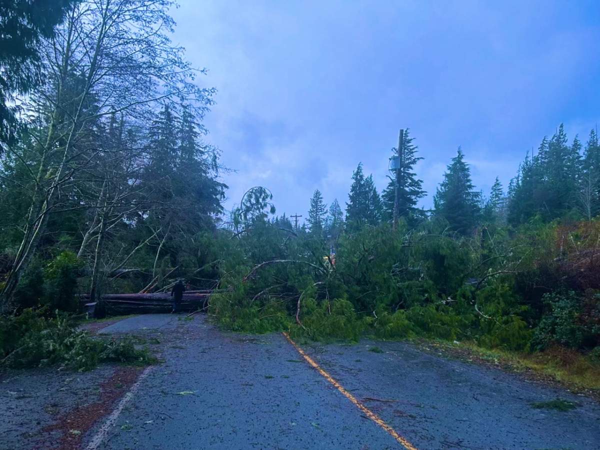 Clean-up underway in Tofino following winds from the bomb cyclone.