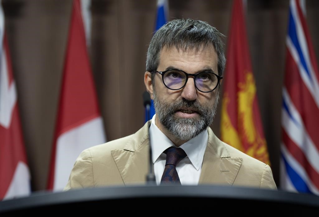 image of Ottawa Invests Over $1 Billion in New Brunswick's Clean Electricity Grid