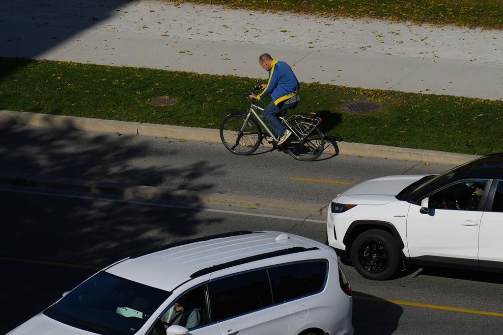 Cycling advocates call for court injunction over Toronto bike lane removals