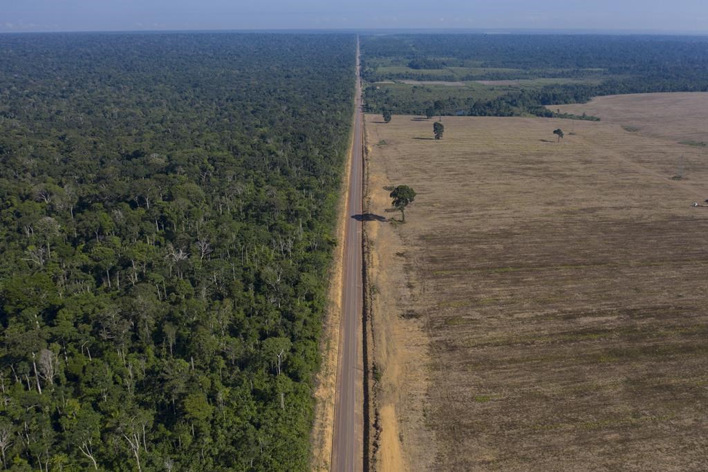 Highway BR-163 stretches between the Tapajos National Forest, left, and a soy field in Belterra, Para state, Brazil