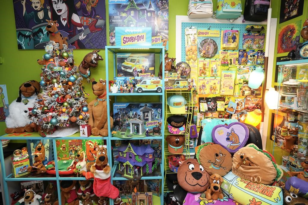 A selection of the Scooby Doo merchandise collection displayed in Tristan Sacrey and Brad Flowers' home in Brampton, Ontario on Sunday November 24, 2024.THE CANADIAN PRESS/Chris Young .