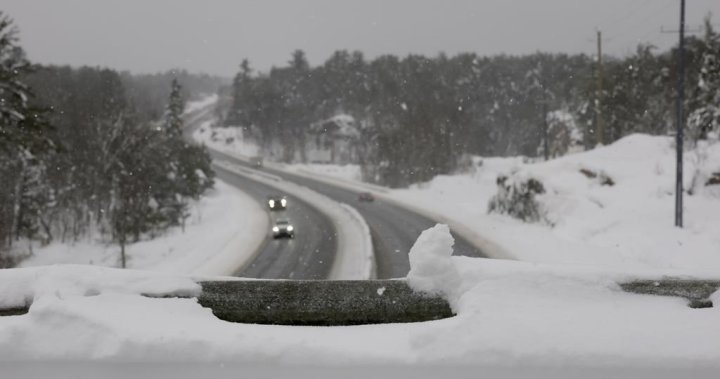 Here are the new laws and rules for Ontario starting in the new year Here are the new laws and rules for Ontario starting in the new year