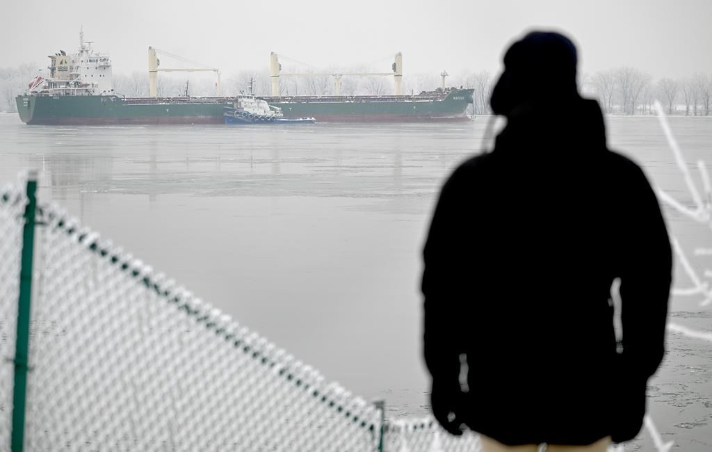 A person looks on as a tugboat tries to release the MV Maccoa after it ran aground in the St. Lawrence River in Verchères, Que.,