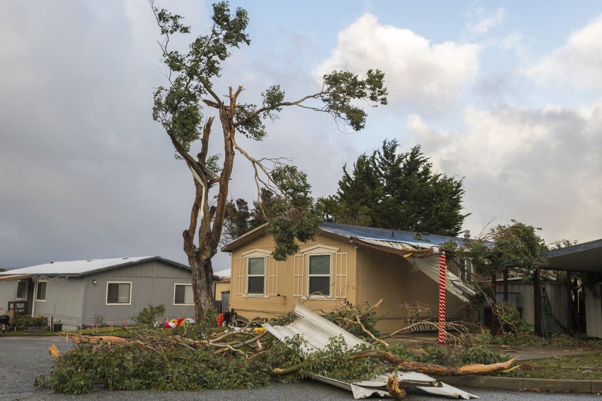 A large tree branch crashed into a garage near Coe Avenue in Seaside, Calif., Saturday, Dec. 14, 2024. (AP Photo/Nic Coury) Nic Coury