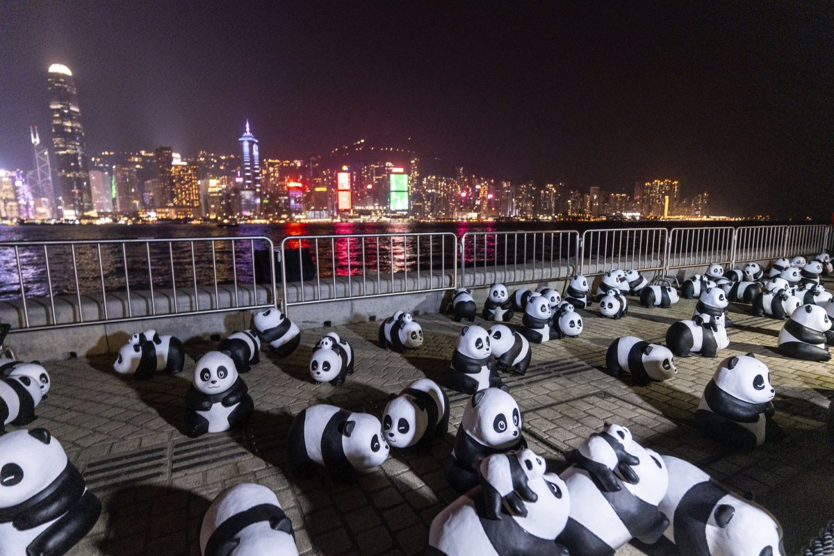 Panda sculptures are displayed at the waterfront of the Victoria Harbour during the panda-themed drone show in Hong Kong, Saturday, Dec. 28, 2024.