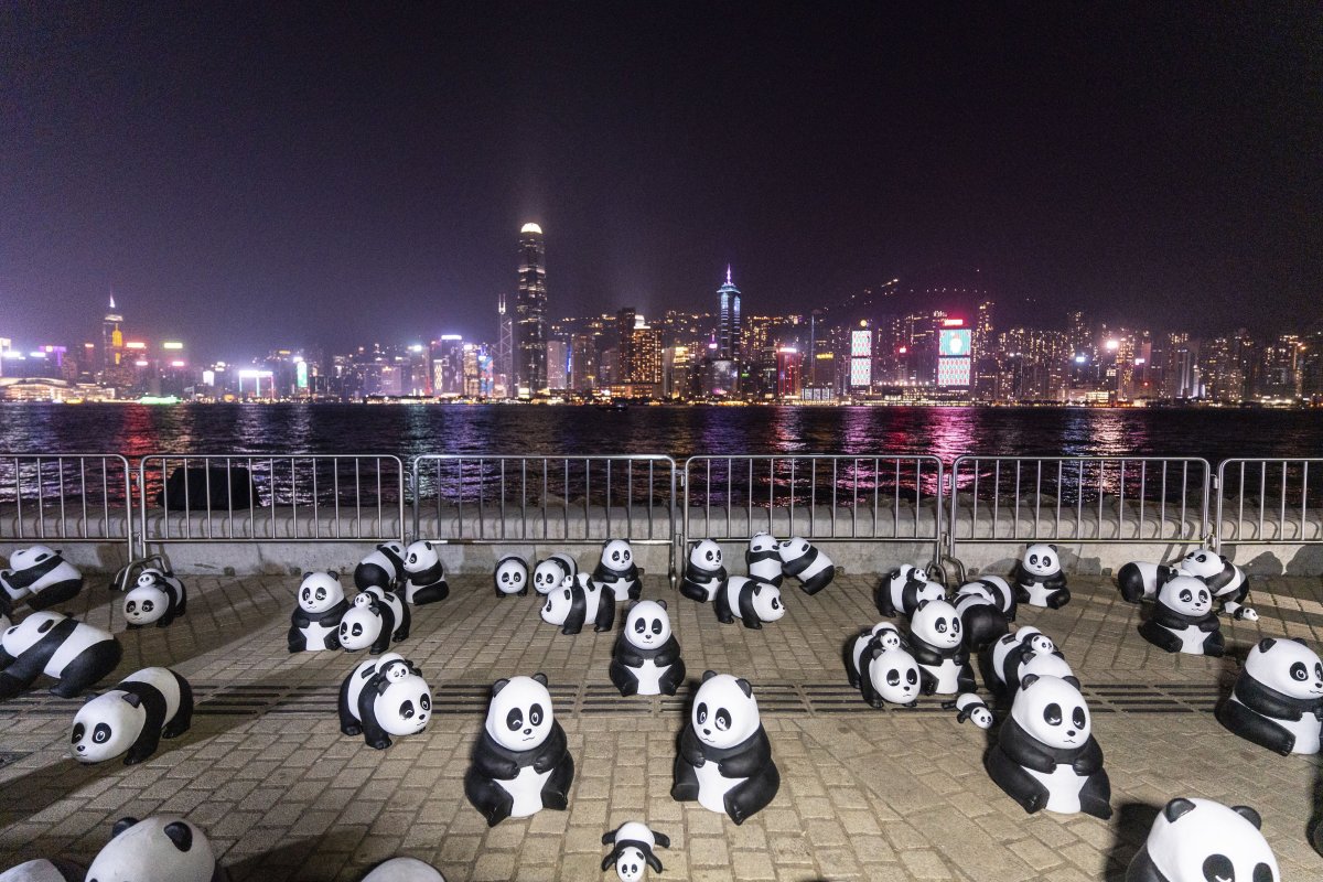 Panda sculptures are displayed at the waterfront of the Victoria Harbour during the panda-themed drone show in Hong Kong, Saturday, Dec. 28, 2024.