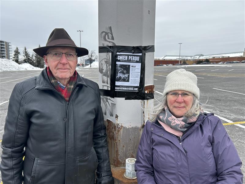 Couple stands in front of a pole with a missing dog sign.