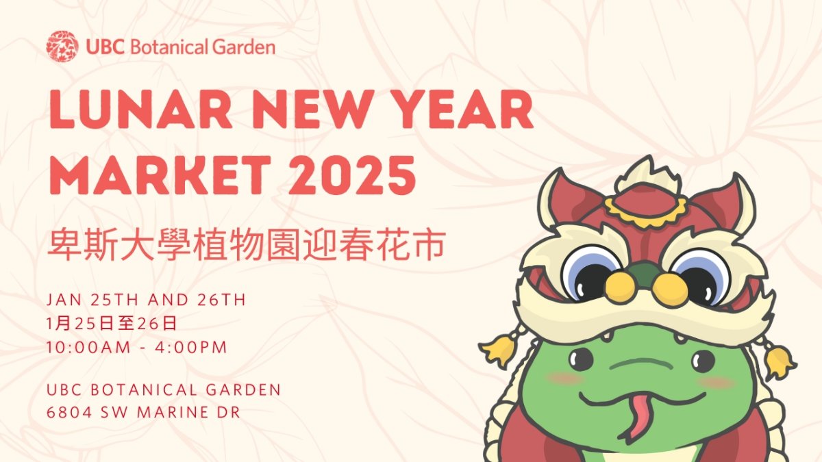 Lunar New Year Market at UBC Botanical Garden 2025 - image