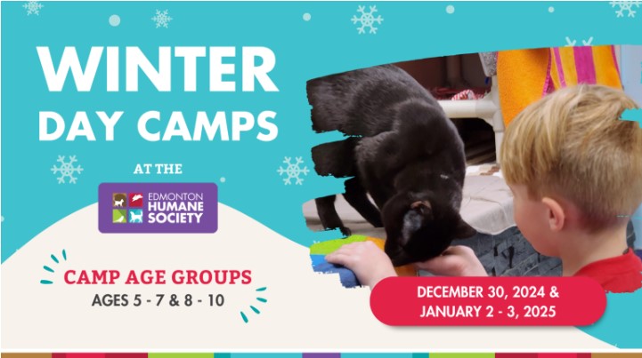 EHS Winter Day Camps - image