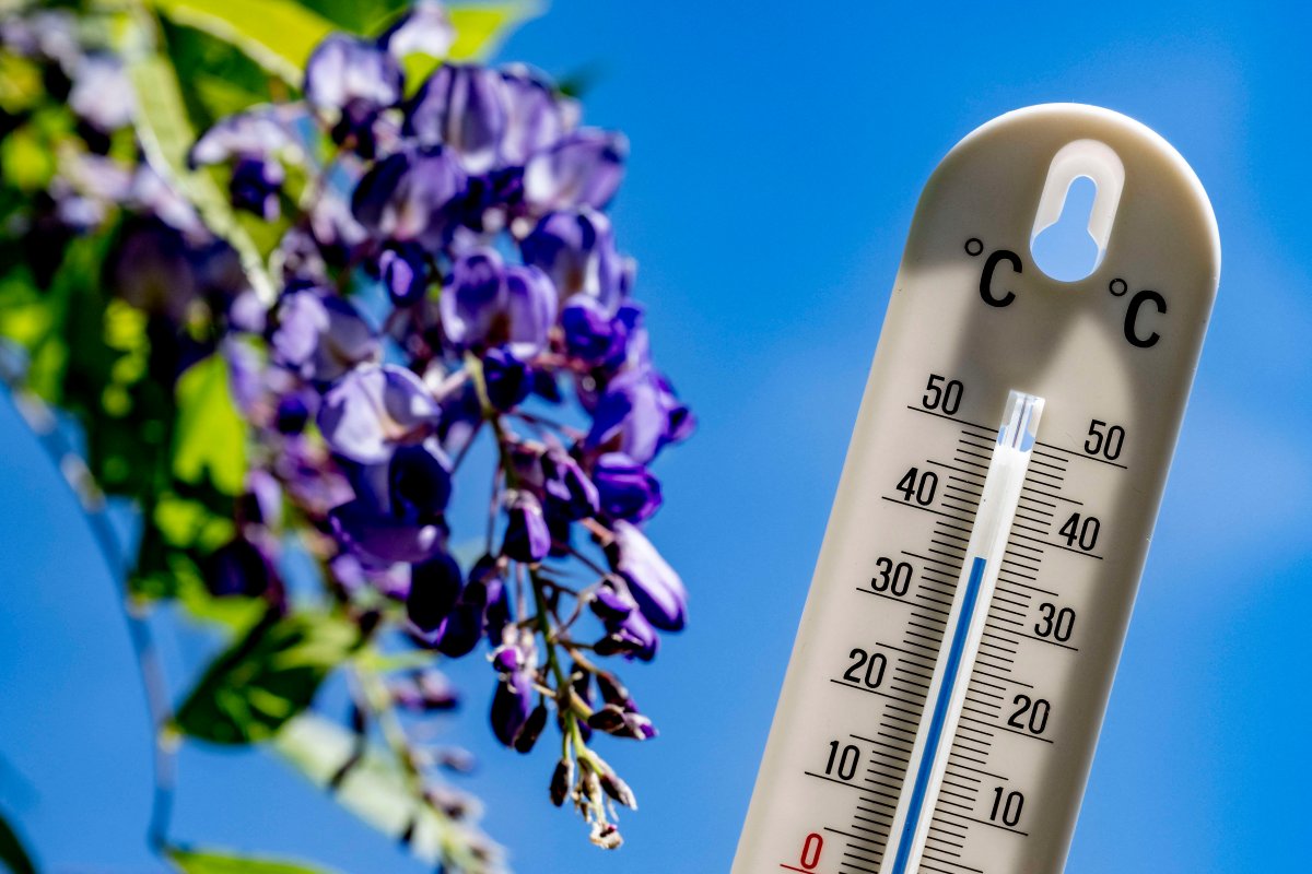 Celsius measurement