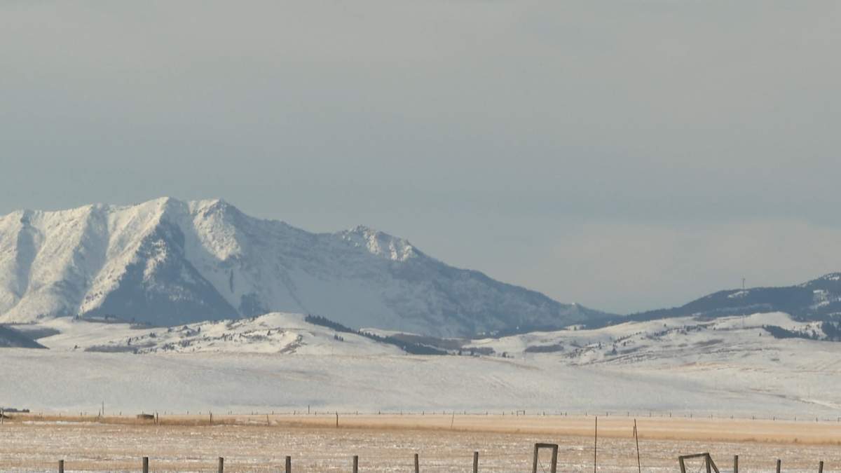 Alberta NDP leader Naheed Nenshi says the Alberta government's new coal mining policy offers no economic benefit and a lot of environmental risk.