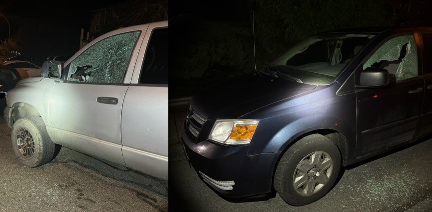 Vehicle windows smashed in what Nanaimo RCMP called a "campaign of destruction" overnight. 