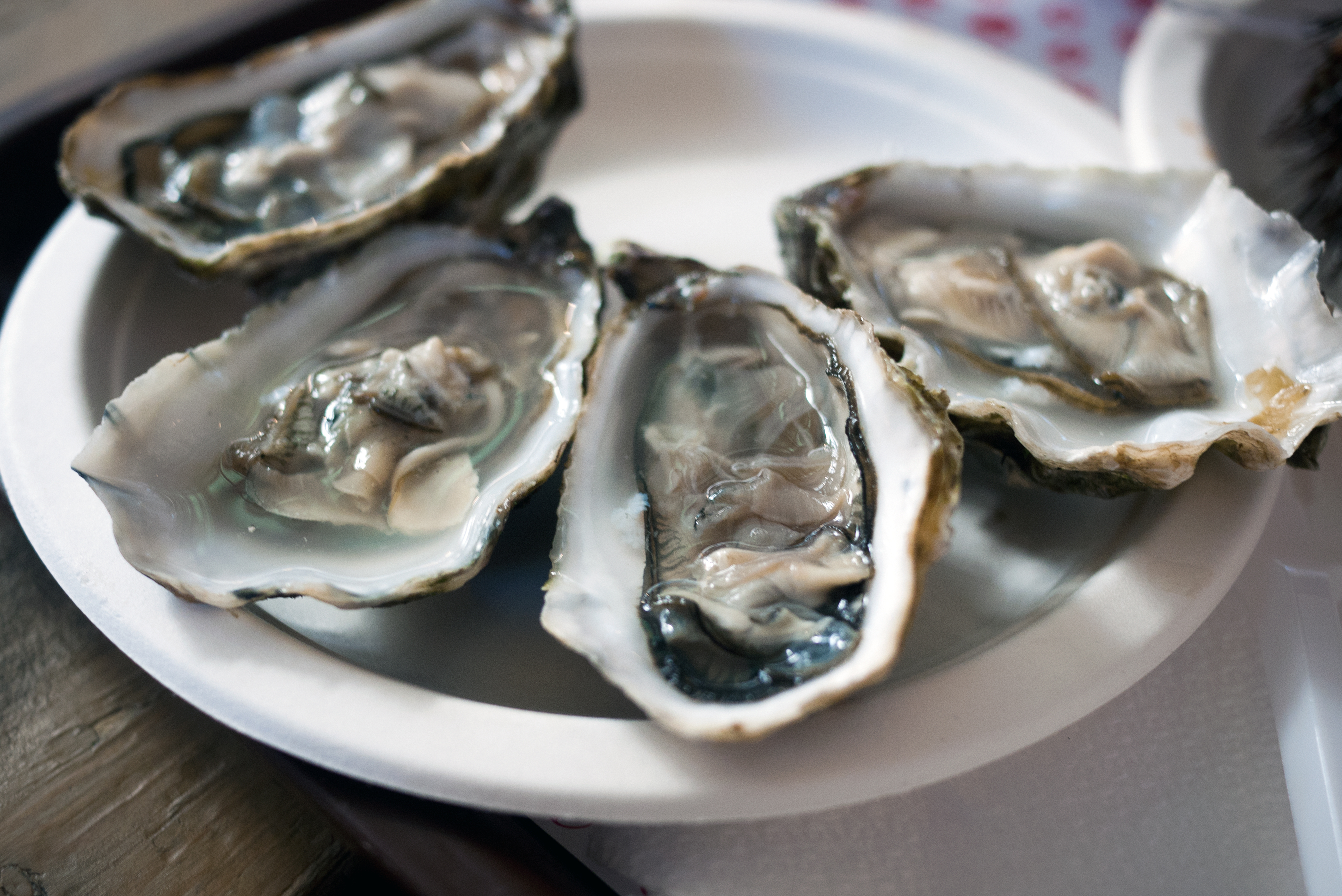 Oysters recalled in 3 Canadian provinces over norovirus concerns 