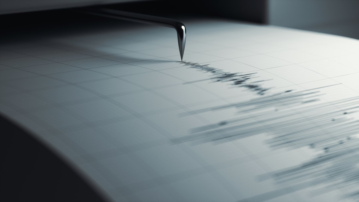 Seismometer printing details.