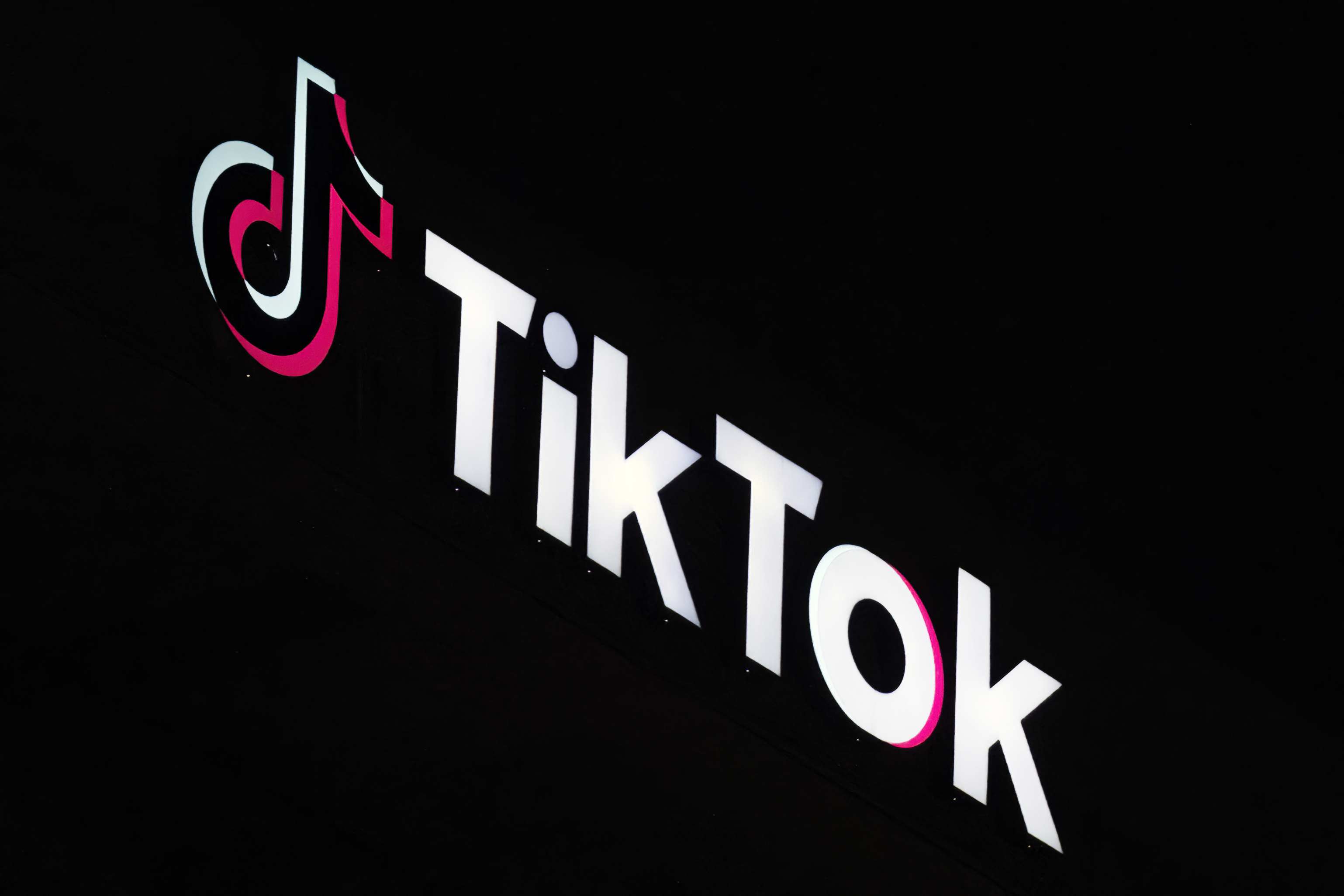 image of TikTok, 연방 법원에서 오타와의 폐쇄 명령에 이의 제기