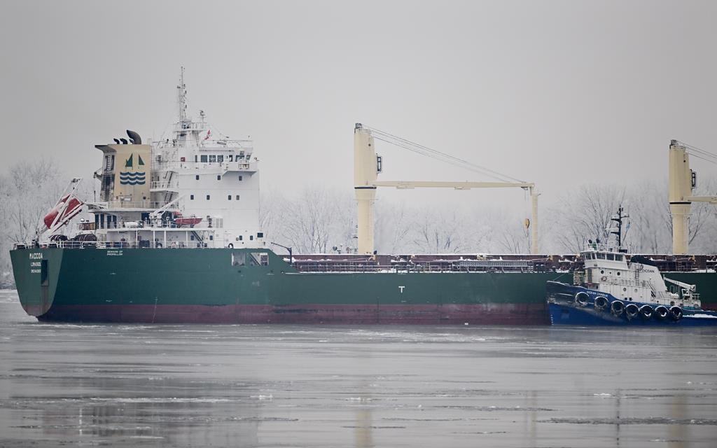 An operation to remove cargo from a ship that ran aground in the St. Lawrence River northeast of Montreal has been postponed to the weekend. A tugboat tries to release the MV Maccoa after it ran aground in the St. Lawrence River in Vercheres, Que., Friday, Dec. 27, 2024. THE CANADIAN PRESS/Graham Hughes.