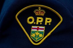 Continue reading: Impaired driving charge laid after Highway 401 collision in Kingston