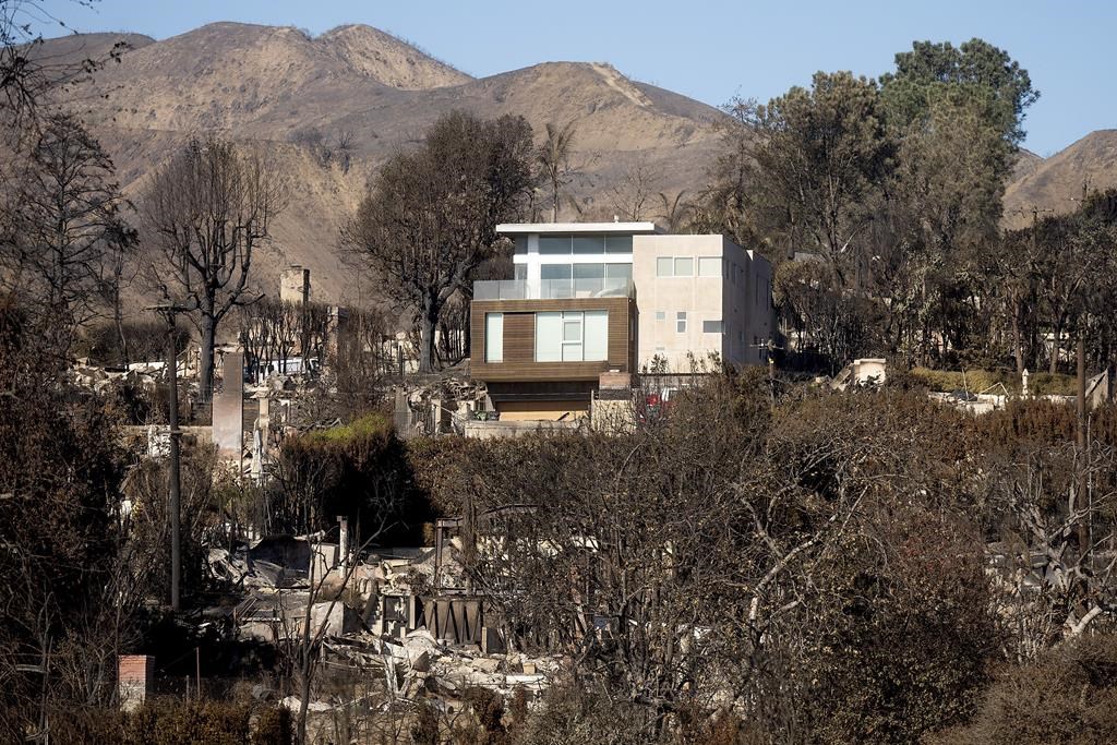 A home stands among residences destroyed by the Palisades Fire in the Pacific Palisades neighborhood of Los Angeles on Sunday, Jan. 12, 2025.