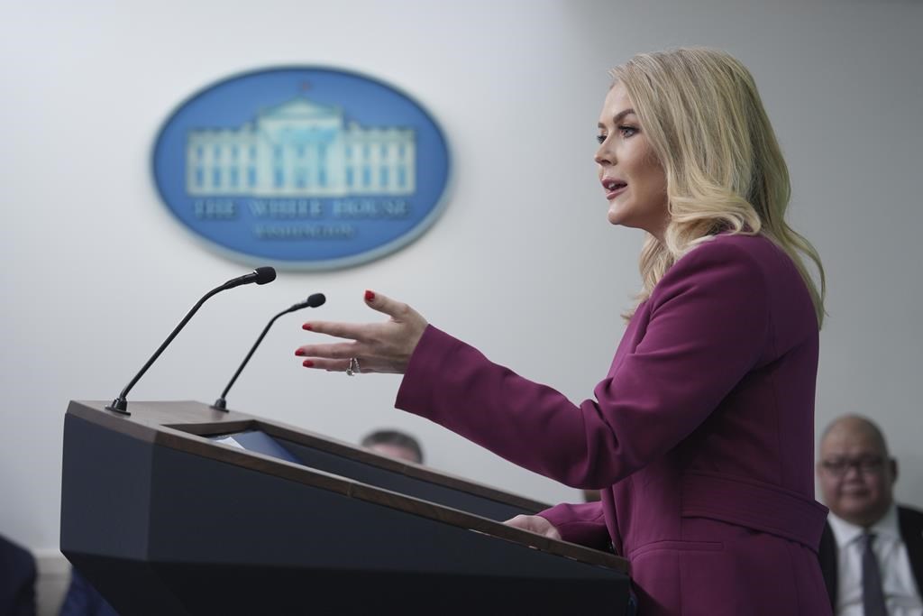 White House Press Secretary Karoline Leavitt speaks during a briefing at the White House, Tuesday, Jan. 28, 2025, in Washington.