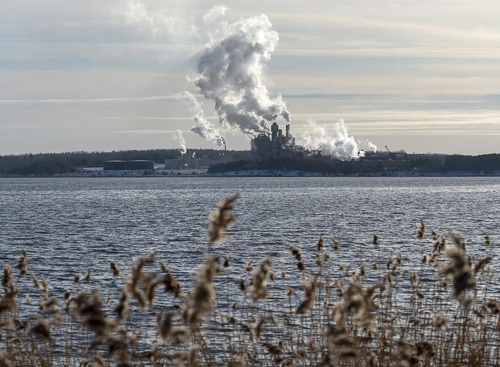 The Northern Pulp mill in Abercrombie Point, N.S., is viewed from Pictou, N.S., Dec. 13, 2019. THE CANADIAN PRESS/Andrew Vaughan.