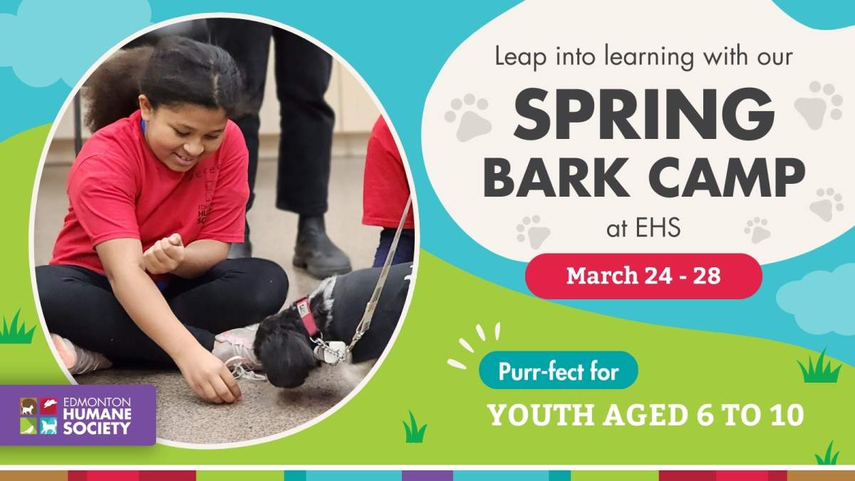 Edmonton Humane Society Spring Bark Camp - image