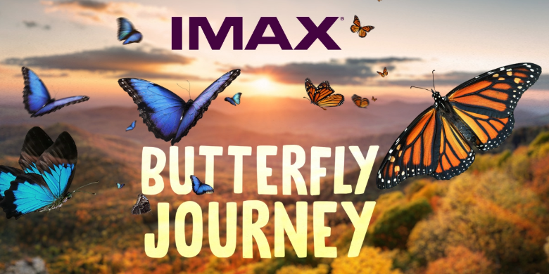 880 CHED Welcomes Butterfly Journey to Telus World of Science Edmonton - image
