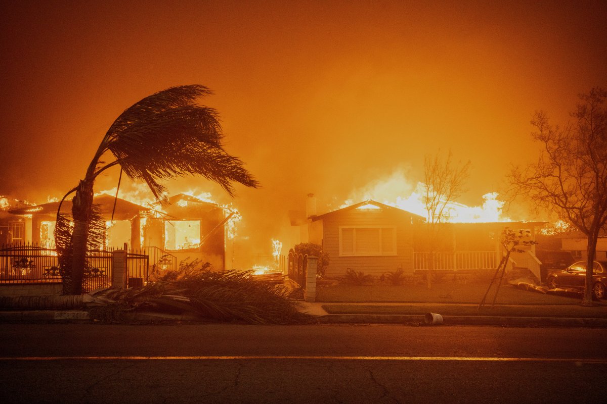 Trees sway in high winds as the Eaton Fire burns structures Wednesday, Jan. 8, 2025 in Altadena, Calif.