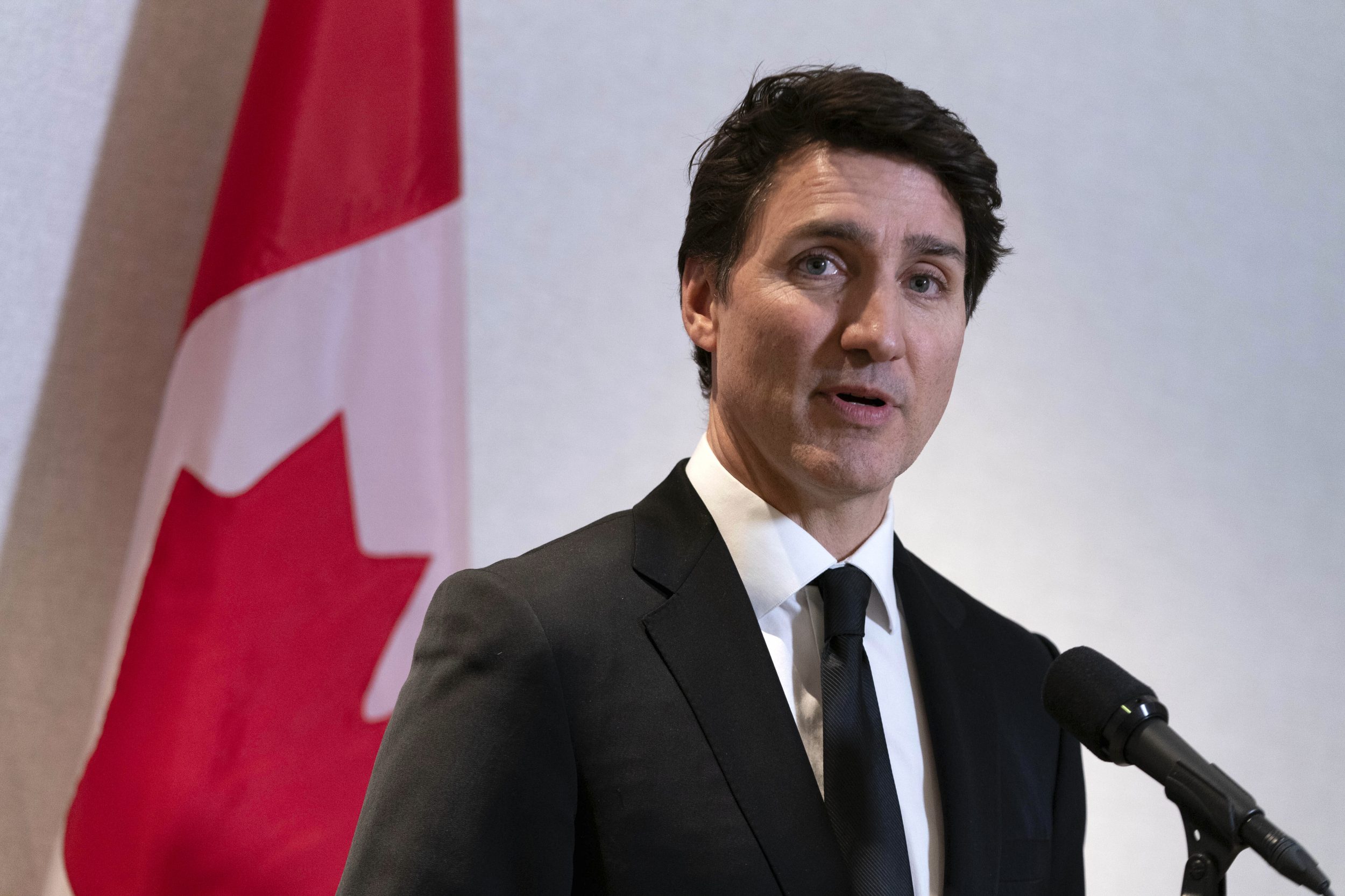 Trudeau says Trumps 51st state talk distracts from cost tariffs will bring