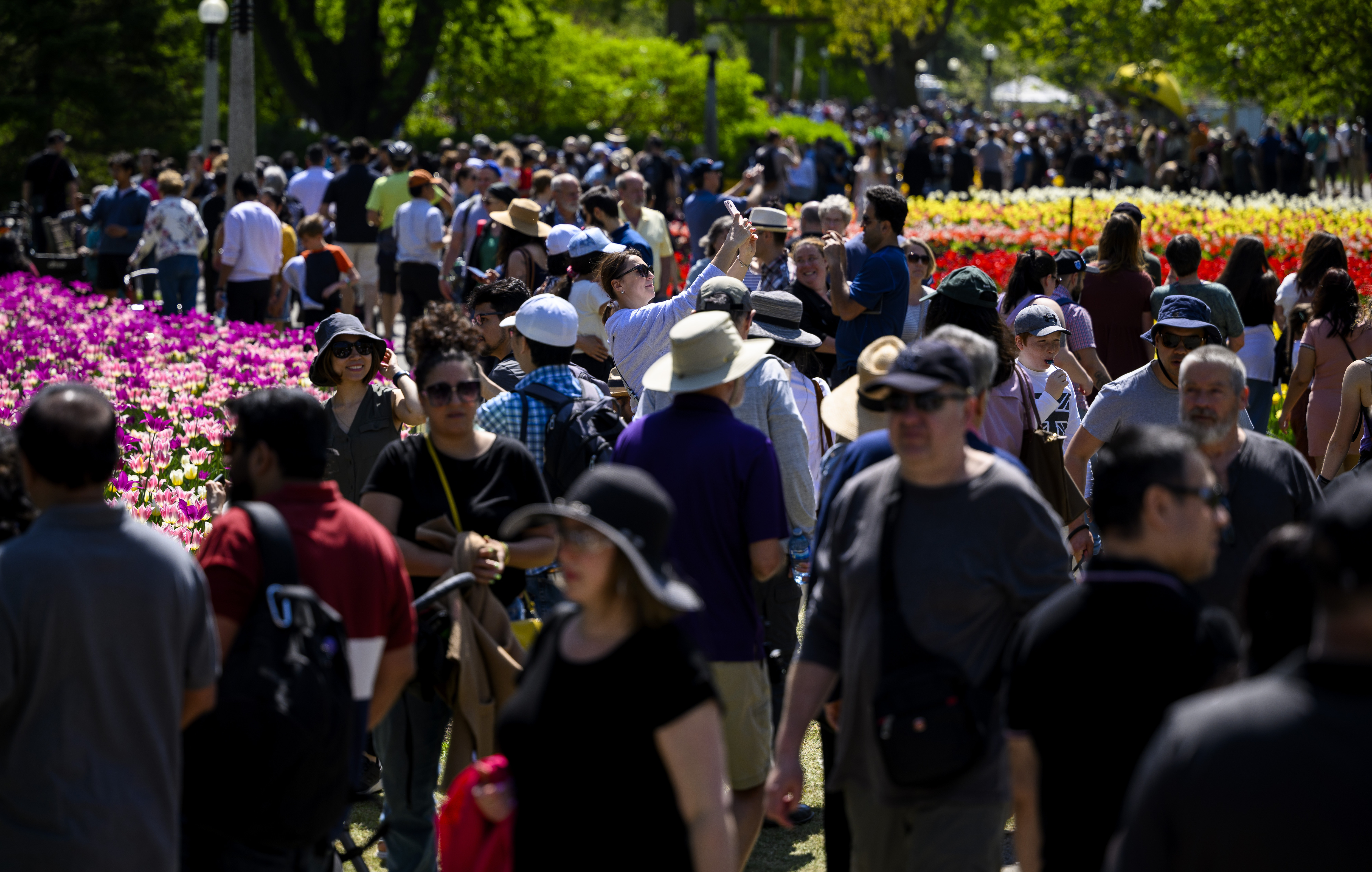 Canada’s population could reach 80M in 50 years, despite immigration