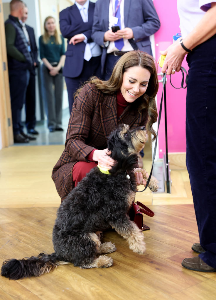 Catherine, Princess of Wales meets Scout the therapy dog during a visit to The Royal Marsden Hospital on January 14, 2025 in London, England.