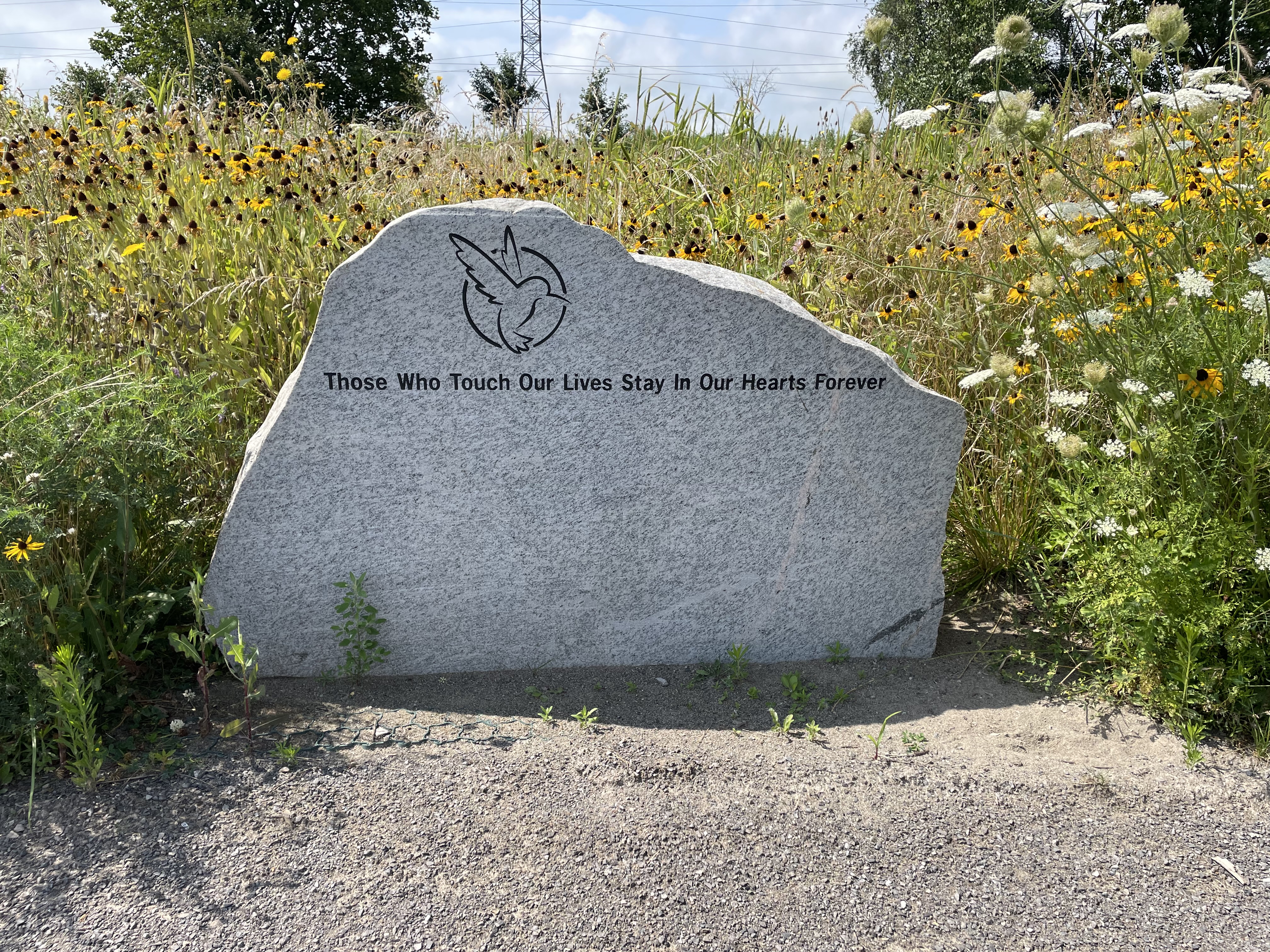 Canada’s cemeteries ‘are in a crisis.’ Green burials can help solve it, Ontario group says